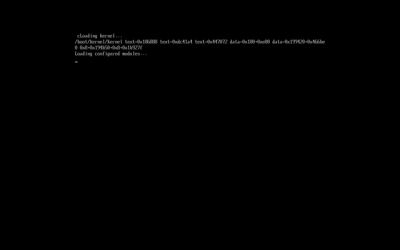 Layar hitam dengan teks kecil di pojok kiri atas menunjukkan proses Loading kernel dan Loading configured modules saat boot ravynOS