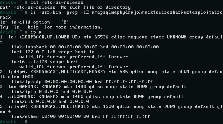 Terminal DracOs menampilkan hasil perintah ip a dengan daftar antarmuka jaringan loopback dan lainnya
