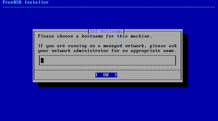 Layar Set Hostname FreeBSD dengan kotak isian nama komputer