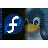 Fedora Linux DVD Installer Distro Modern Cepat Inovatif Developer Server Red Hat SELinux DNF - foto 7