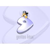 Gentoo Linux LiveDVD DVD Installer amd64 x86 Multilib Source-Based Portage Pengguna Mahir - foto 7